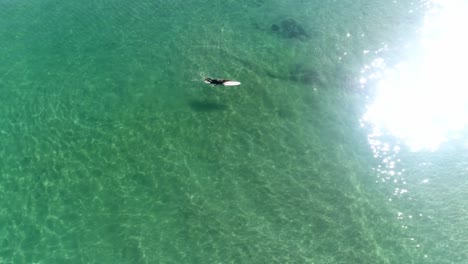 dron dando vueltas a un surfista remando en aguas tranquilas y claras