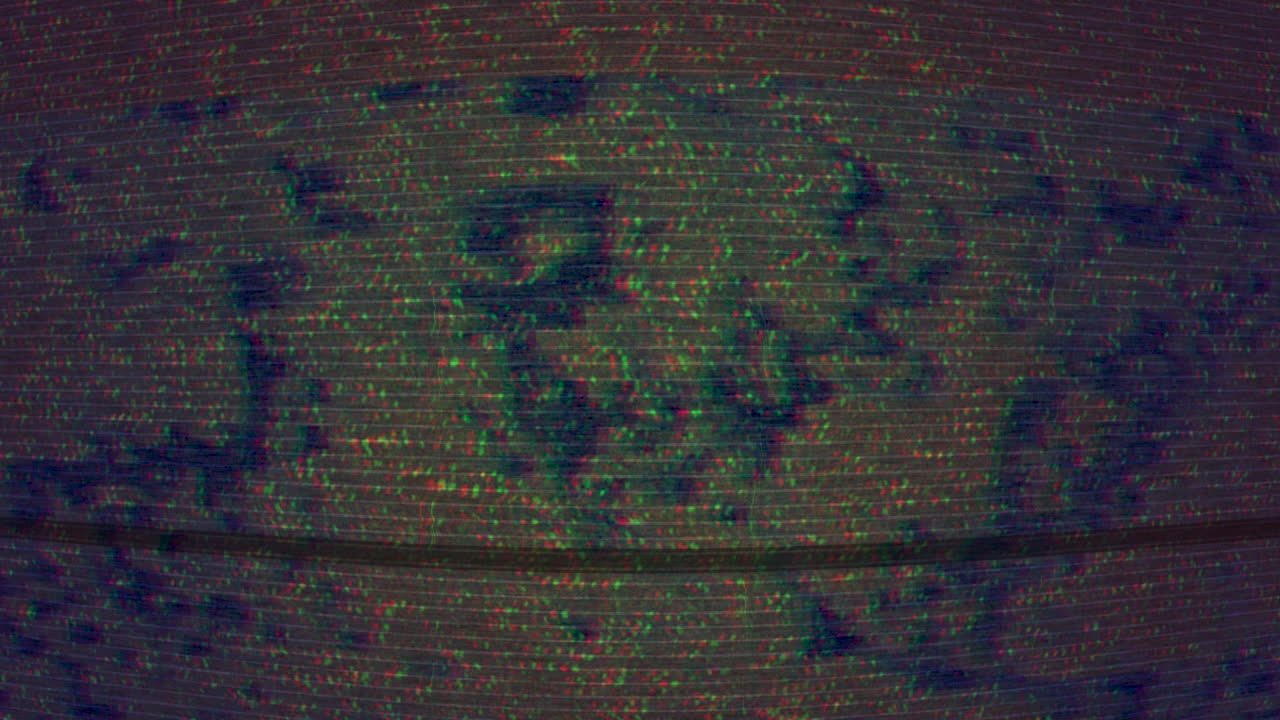 활기찬 디지털 예술 작품 다채로운 팔레트 칼  ⁇ 질