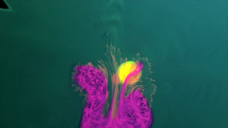  you, a magenta creature,  dance the hokey pokey. you put your whole self in
and you shake it all about   -  an all natural abstractvideoclip
