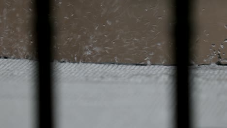 raindrops