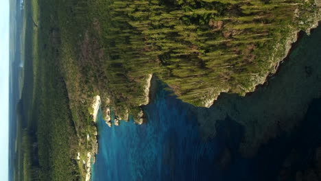 beautiful cape wabao on maré island, vertical aerial view, loyalty islands