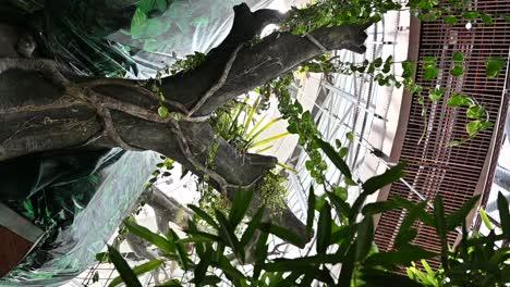 una vista desde dentro del bosque tropical cubierto en dubai, emiratos árabes unidos