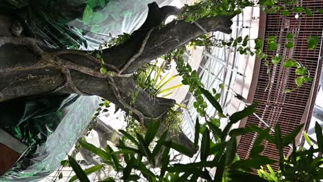 an inside view of the indoor rainforest in dubai, united arab emirates