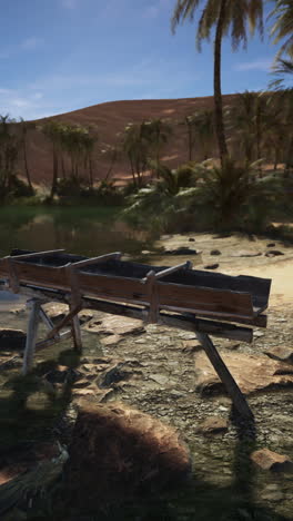 a wooden boat sits on a wooden frame in a desert oasis