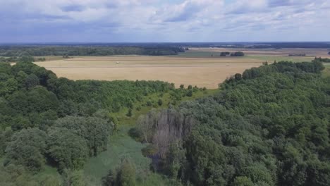 Schwere-Landmaschinen-Mähdrescher-Arbeiten-An-Einem-Sonnigen-Tag-Auf-Landwirtschaftlichen-Feldern