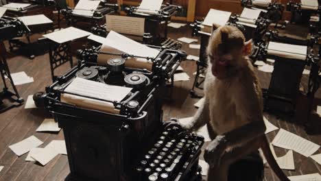 monkey typing on typewriters