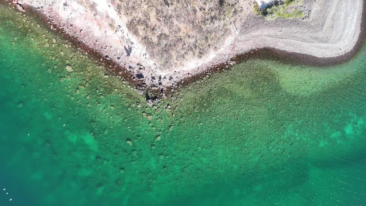 바하 캘리포니아의 마르 데 코르테스 (mar de cortes) 와 베이 (bay) 의 중앙 사진