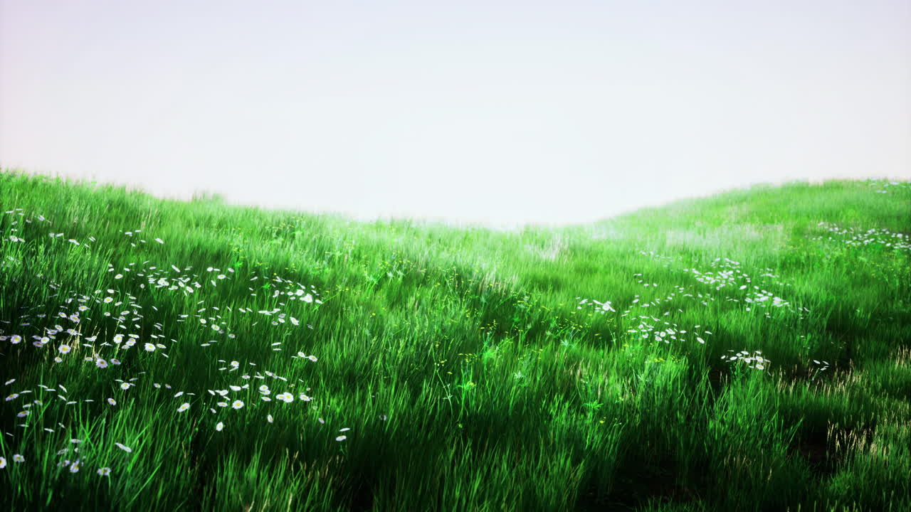 Lush green meadow with wildflowers under soft sunlight in serene landscape