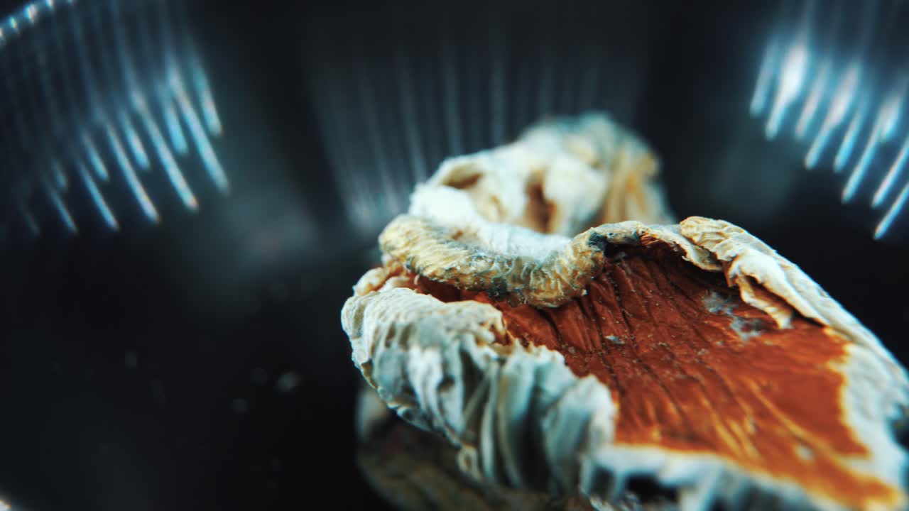 un macro de primer plano cinematográfico giratorio de un hongo seco psicoactivo mágico con una gorra roja, en un cuenco negro brillante, iluminación de estudio, video 4k