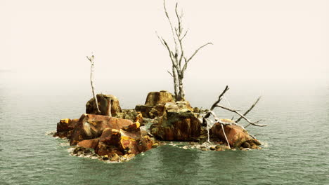 Wunderschöne-Meeresfelsen-Und-Tote-Bäume-In-Einem-Meer-Aus-Heller-Dämmerung