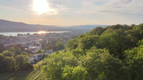 Un-Dron-Revela-Una-Toma-De-Zurich,-Suiza,-Volando-Y-Revelando-La-Ciudad-Detrás-De-Los-árboles-En-Una-Colina.