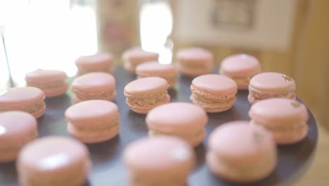 closeup shot of multiple cupcakes