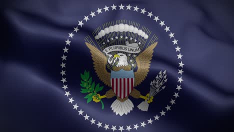 president of the united states flag loop background 4k