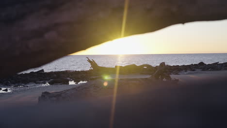 slow motion sun flair through driftwood on the beach