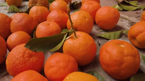 oranges with leaves and stems fallen on cement ground, close up moving forward