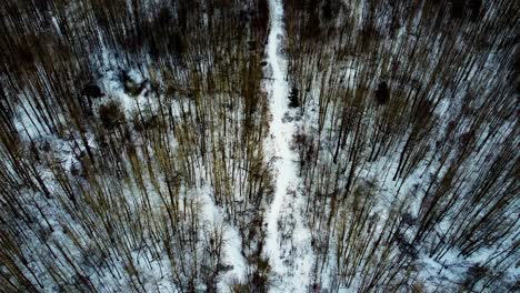 Vista-Aérea-De-Pájaros-Dolly-Rodar-Sobre-El-Invierno-Nevado-En-El-Camino-Con-Un-Denso-Bosque-Con-Un-árbol-Desnudo-Inclinado-En-La-Puesta-De-Sol-Amarillo-Dorado-Brillaba-Y-Resplandecía-Donde-La-Gente-Suele-Acampar-Todo-El-Año