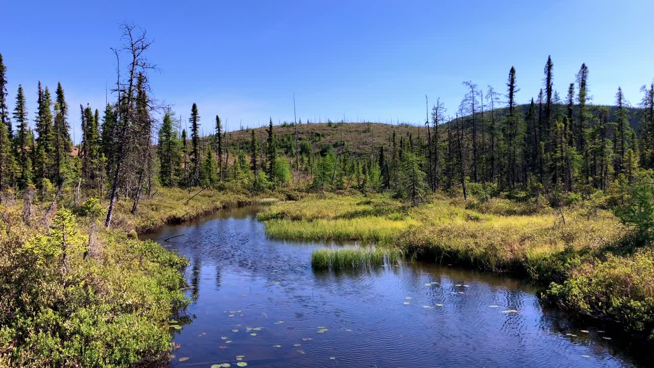 paisaje de agua tranquila con un río que fluye más allá del banco bordeado de hierba y nenúfares