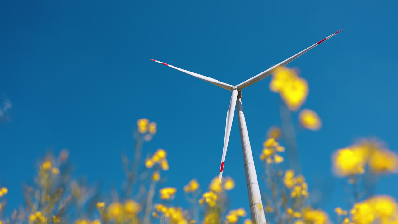 Turbine amidst yellow blooms. Bright yellow flowers bloom around a wind turbine under a clear blue sky, showcasing renewable energy in nature