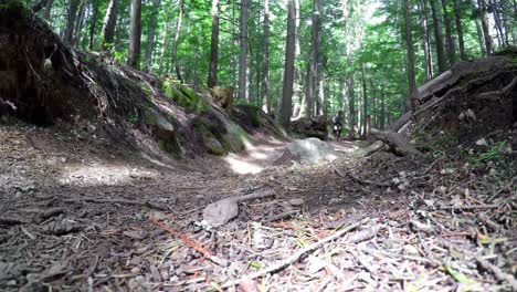 woman riding unicycle in the forest 4k