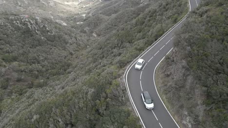 2 white cars driving along a curvy mountain roadway surrounded by beautiful mountain scenery and trees and the sea in the background