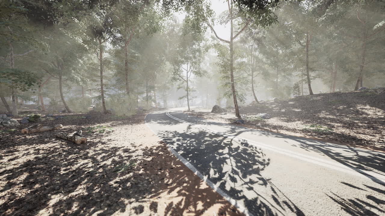 A serene winding road through a misty forest during early morning light