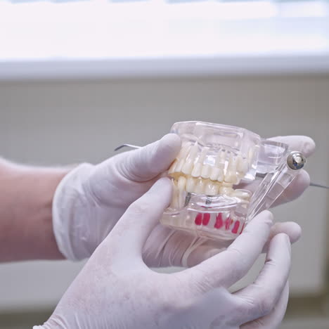 doctor shows on a plastic jaw sample or model different methods of teeth treatment. modern dental clinic background. health concept. white medical gloves on male doctor's hands.