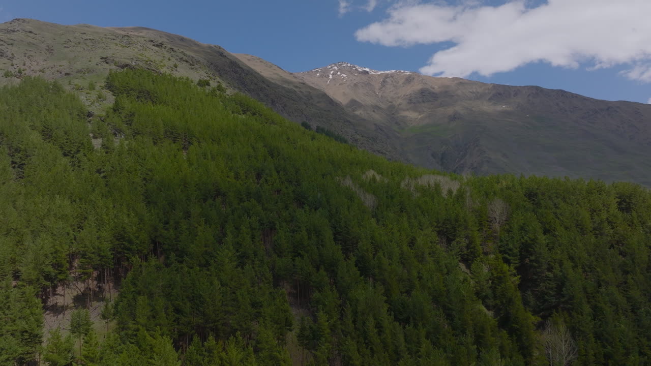 hermoso bosque de disparos de drones en la montaña en el sol de verano