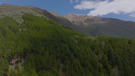 Beautiful-drone-shot-forest-on-mountain-in-summer-sun