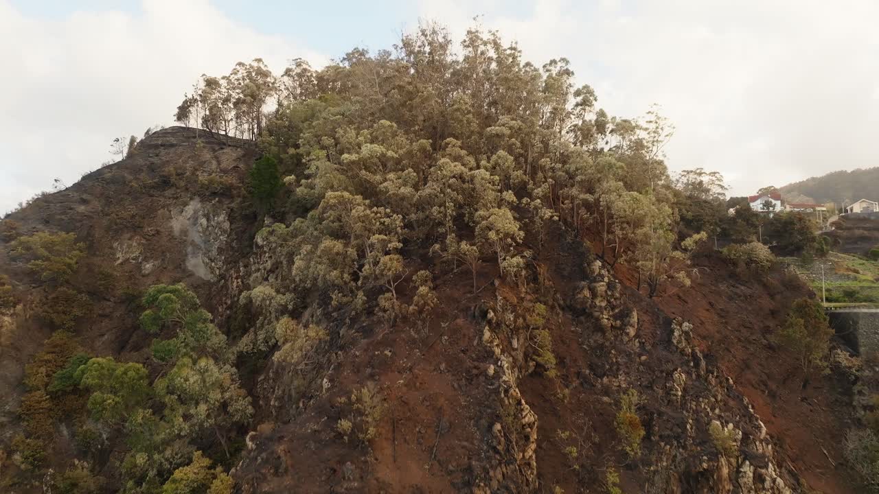 colinas quemadas, árboles y campos después del incendio