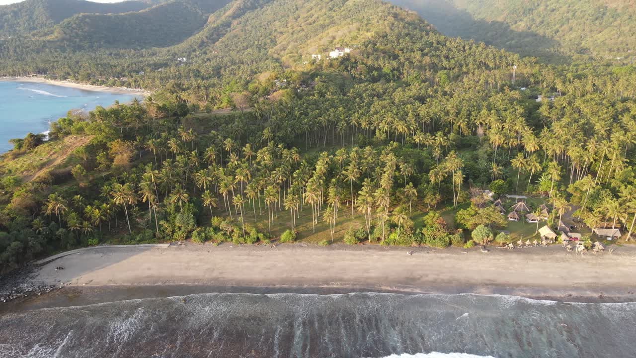 Vista aérea de playa tropical con palmeras y olas del océano