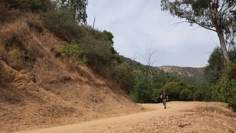 man hikes on trail in griffith park in los angeles