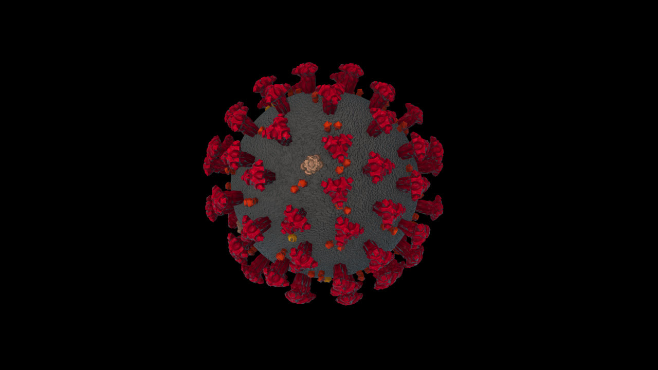 estructura del coronavirus
