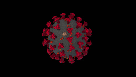 estructura del coronavirus
