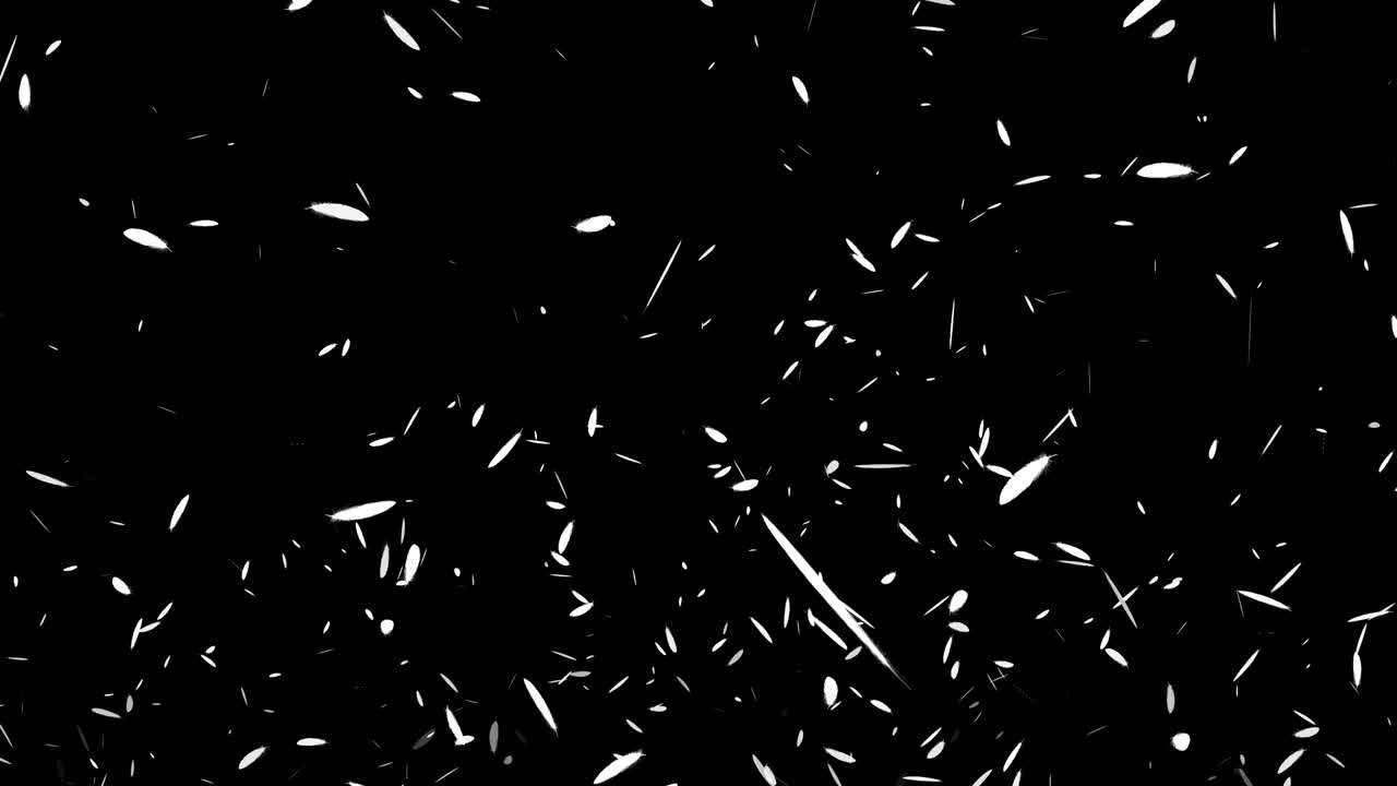 White feathers soaring particles motion graphics