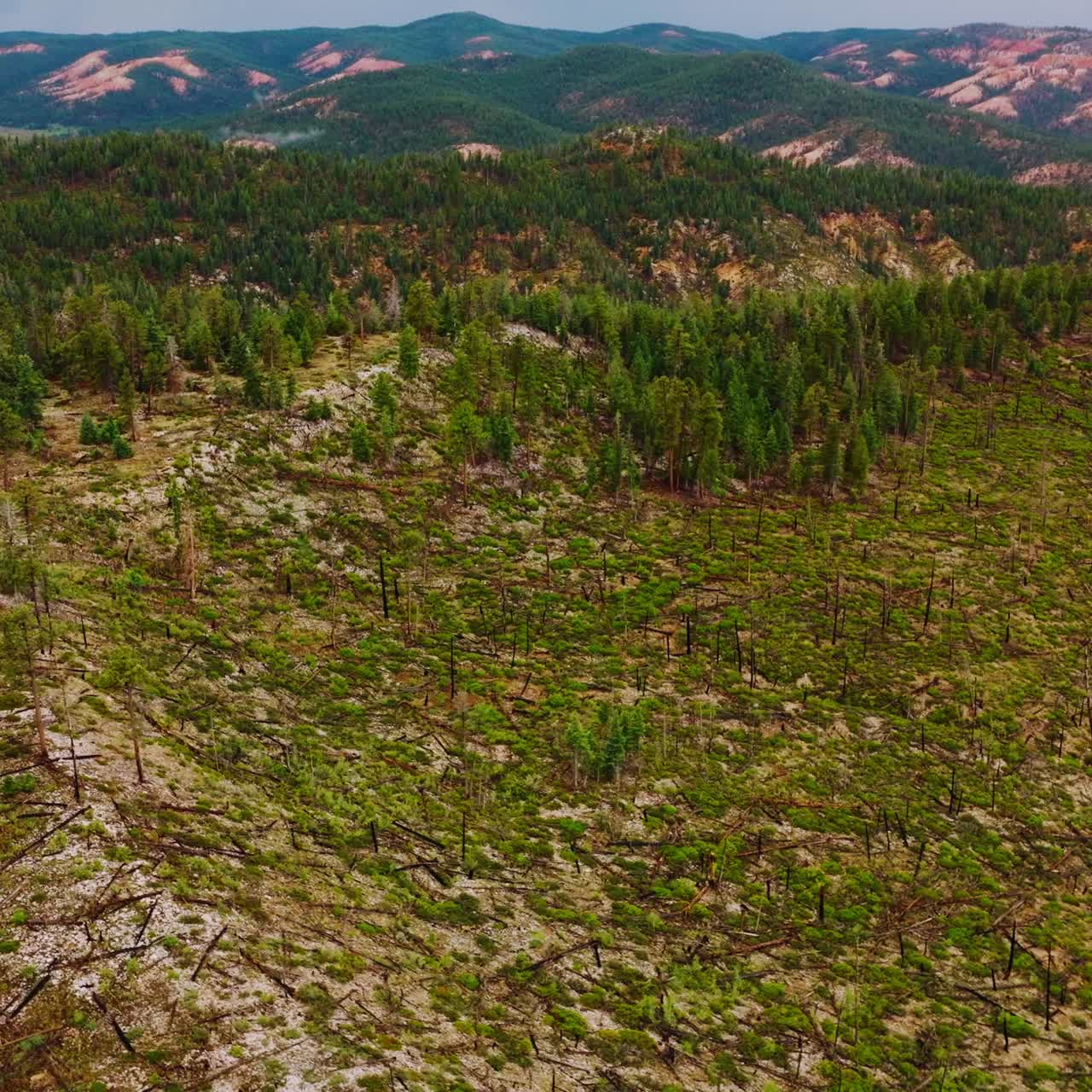 Aerial view of american landscapes. United States summer mountain farmland