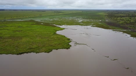 humedales del noreste de argentina disparados con drones