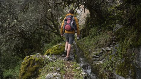 male backpacker trekking on rocky hiking trail with stream flowing in huaraz, peru. static