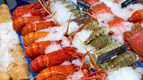 variety of seafood on ice at market