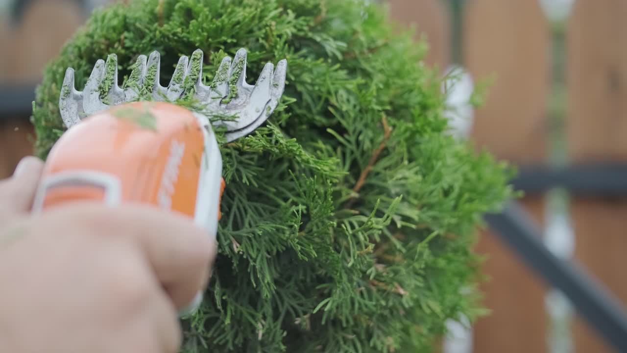 정원사는 주거 정원에서 전기 헤지 트리머로 덤불을 조심스럽게 조리합니다. 정원 유지 관리, 식물 관리 및 야외 조경에 초점을 맞추십시오.