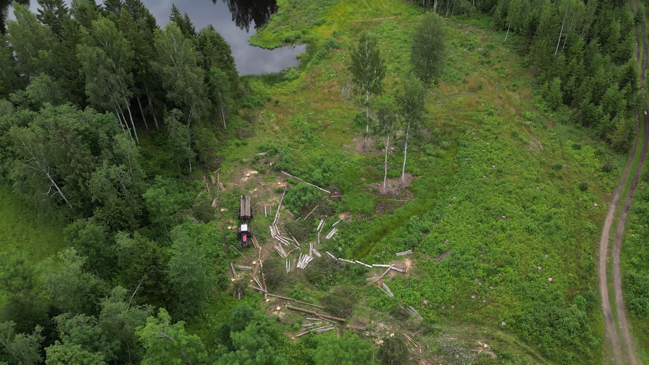 Picking up wood, land clearing machine, top-down aerial view deforestation