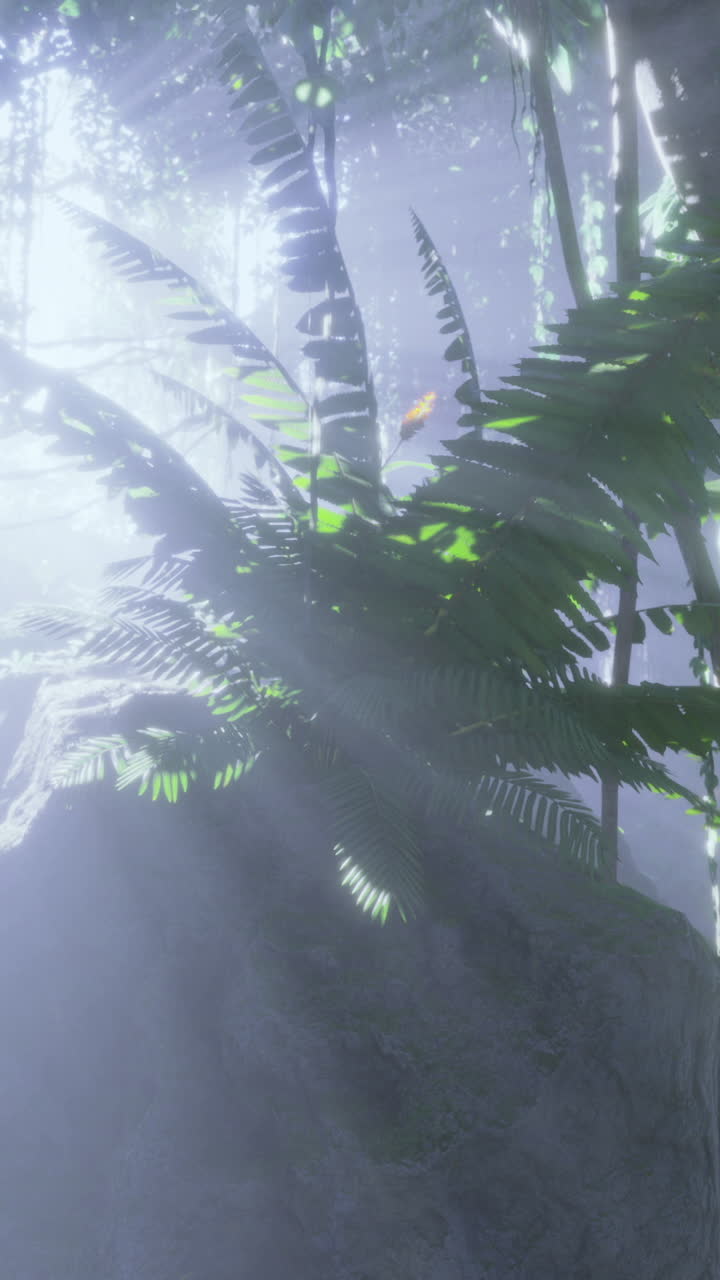 Sunlight filters through a lush forest canopy creating a mystical atmosphere
