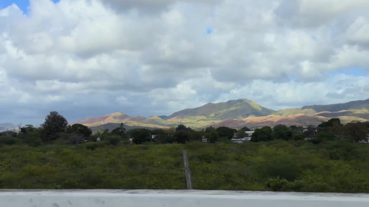 Ripresa aerea con drone di lussureggianti alberi tropicali, cactus e verdi colline montuose sotto un cielo nuvoloso a Porto Rico.