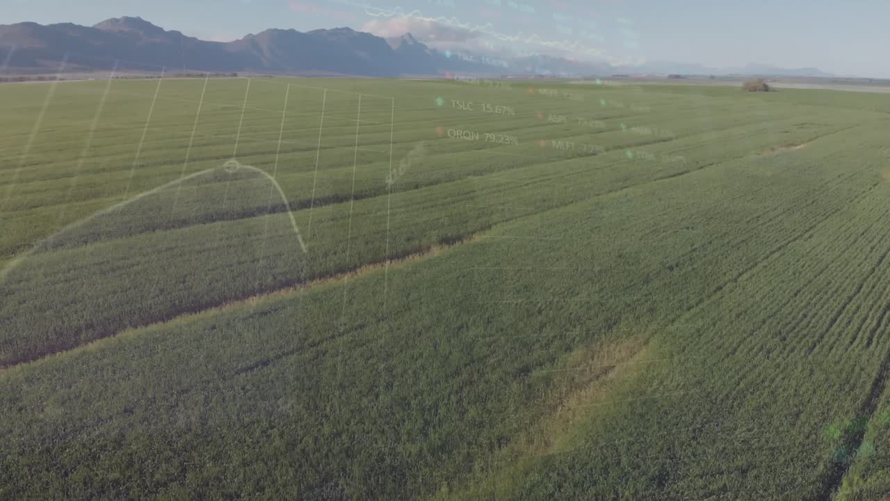 Animation of financial data processing over fields