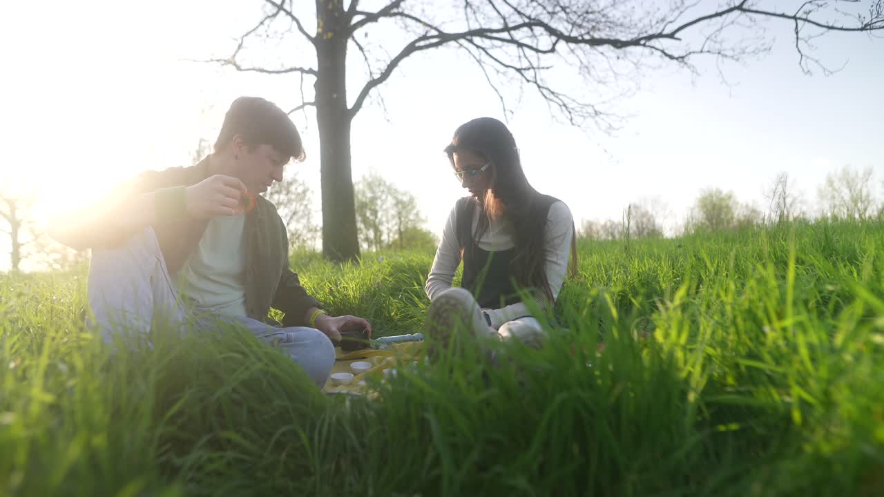 공원 에서 피크닉 을 즐기는 부부