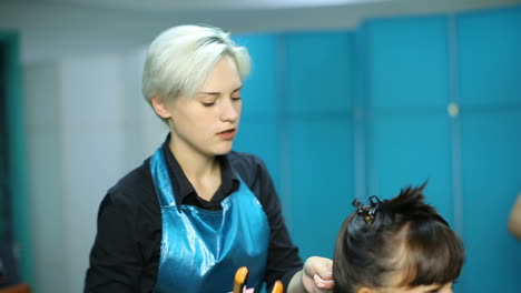beautiful woman getting haircut by hairdresser in the beauty salon