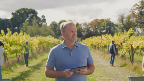 Reifer-Männlicher-Besitzer-Eines-Weinbergs-Mit-Digitalem-Tablet-Im-Feld-Mit-Arbeitern-Bei-Der-Ernte