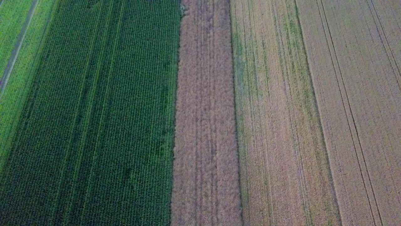 Ascending over lined crop field during summer day in Germany