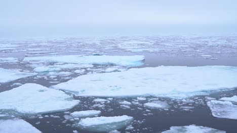 passing by broken pieces of ice in arctic sea on misty day scenery