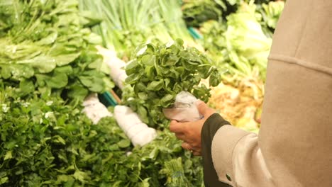 woman shopping for fresh herbs and vegetables at a grocery store