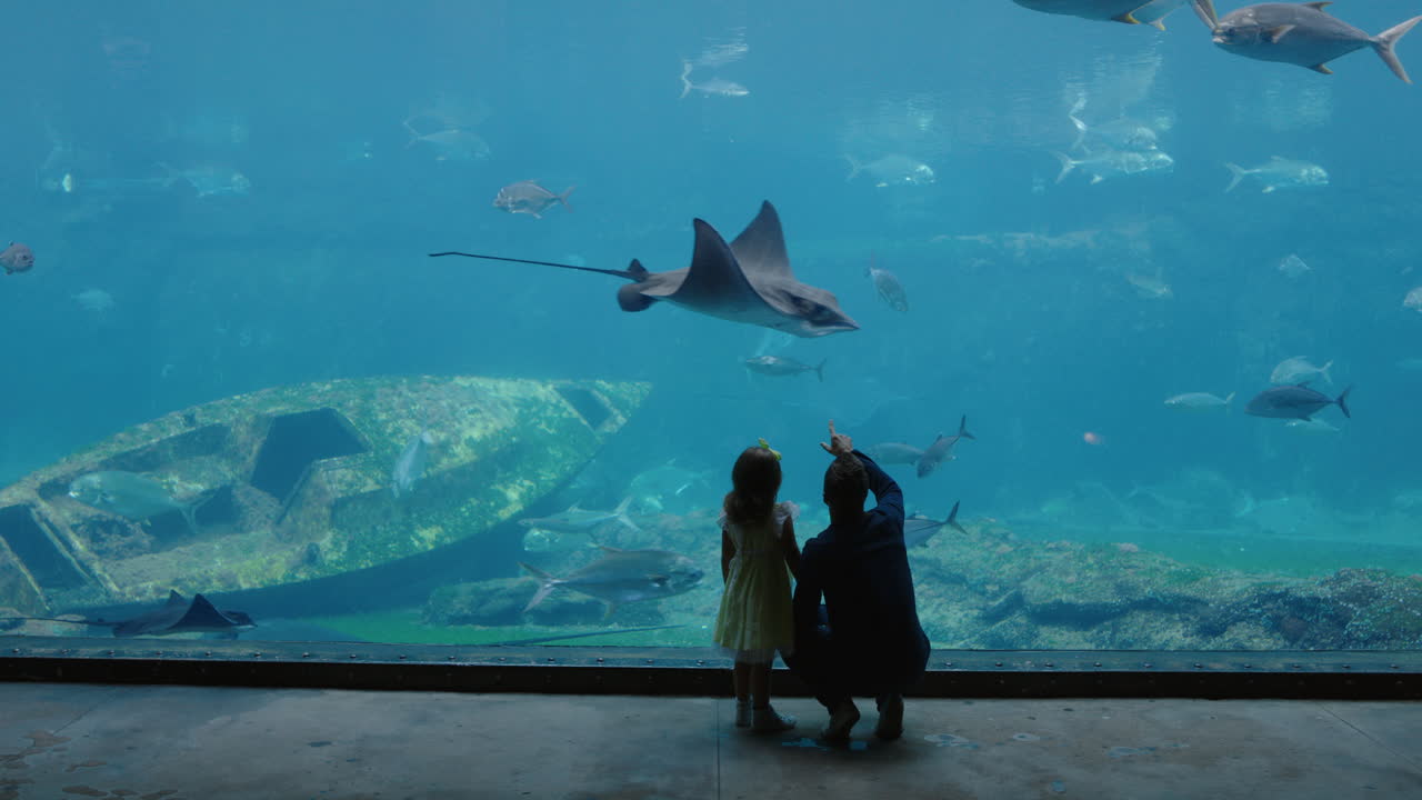 아쿠아리움에서 딸과 함께 아빠가 아름다운 물고기를 보고  ⁇ 크에서 헤엄치는 작은 소녀는 호기심으로 해양 동물을 관찰하고 오케아리움에서 아빠와 함께 해양 생물에 대해 재미있게 배우고 있습니다.